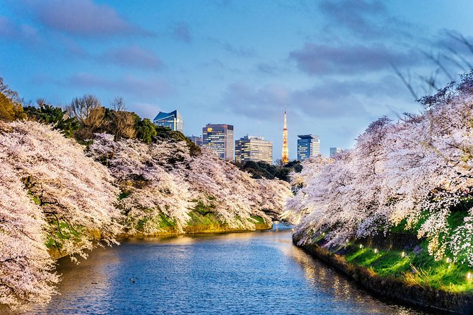 Tokyo Private Full-Day Landmark Tour, by Car, Custom Itinerary (Mar ) - Customizable Itinerary Highlights