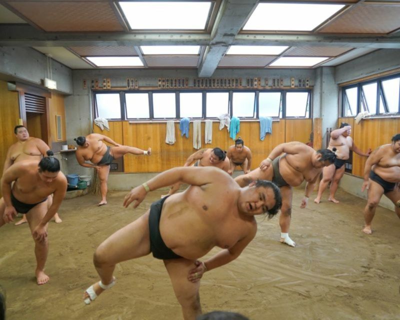 Tokyo: Sumo Morning Practice Tour in Ryogoku - Itinerary