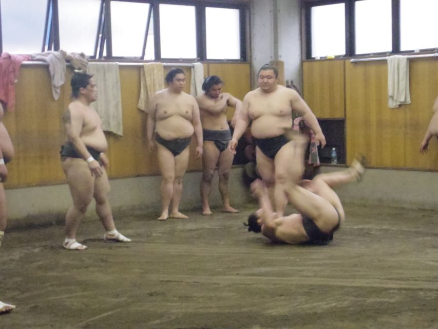 Tokyo: Sumo Morning Practice Viewing Tour - Itinerary