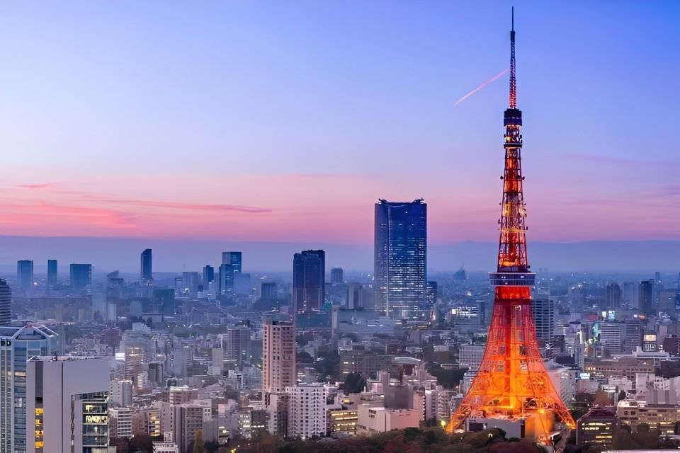 Tokyo Tower: Entry Ticket & Private Hotel Pickup Service - Activity Highlights