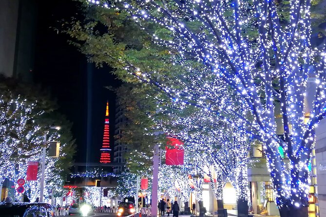 Tokyo Winter Illumination Tour - Itinerary Overview