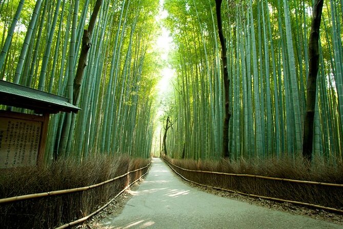 Tour by Car With a Kyoto Native Away off Touristya Local Show You Secret Places - Insiders Guide to Hidden Spots