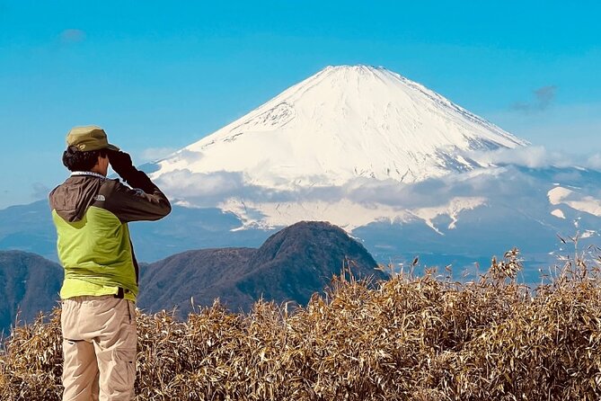 Traverse the Outer Rim of Hakone Caldera and Enjoy an Onsen Hiking Tour - Itinerary Details