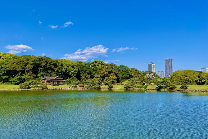 Tsukiji Market, Hamarikyu Garden, Asakusa With Water Bus  - Tokyo - Traveler Experience and Reviews