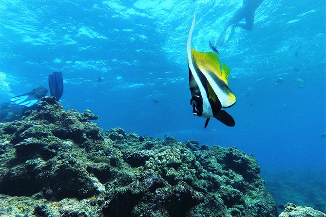 Two-Hour Group Snorkeling Trip to the Blue Cave 2024 - Onna-son - Cancellation Policy Information