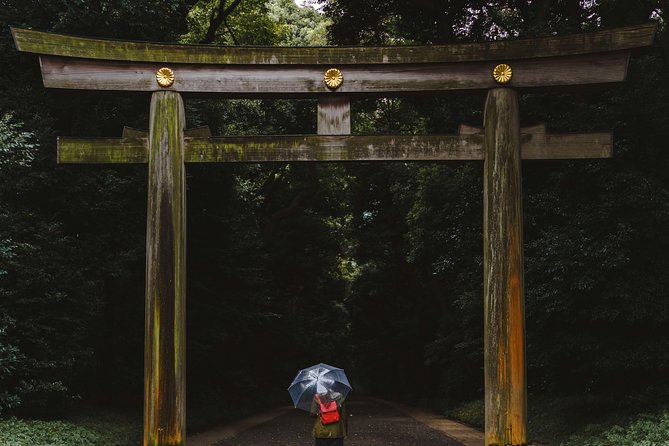 Understanding Japanese Culture Mythology and Lifestyle Through Study of Shinto - Delving Into Shinto Rituals and Practices