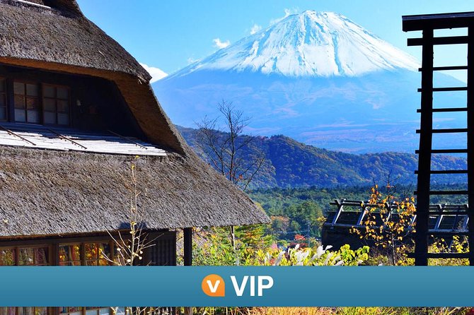 Vip: Mt Fuji Private Tour With Sengen Shrine Visit From Tokyo - Meeting Details