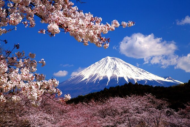 Virtual Tour to Discover Mount Fuji - Tour Inclusions and Exclusions