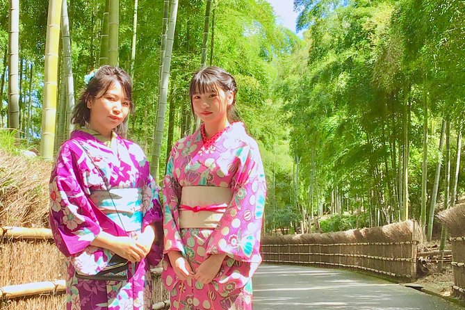 Visit to Secret Bamboo Street With Antique Kimonos! - Inclusions in the Guided Tour