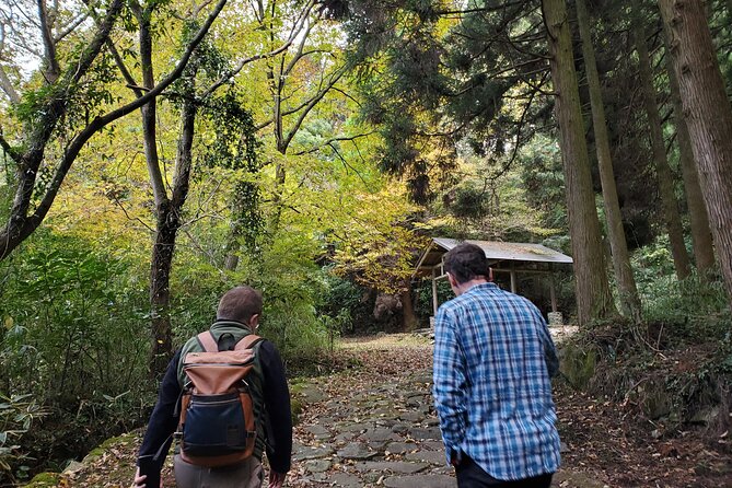 Walking Through the Aso Caldera, Historical Walk Along the 'Bungo Kaido' - Lush Green Landscapes