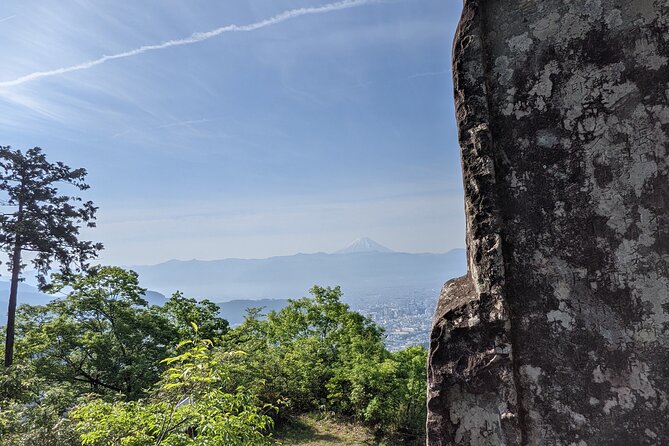 Yamanashi Beyond Mt. Fuji - Discover Iconic Vineyards and Tastings