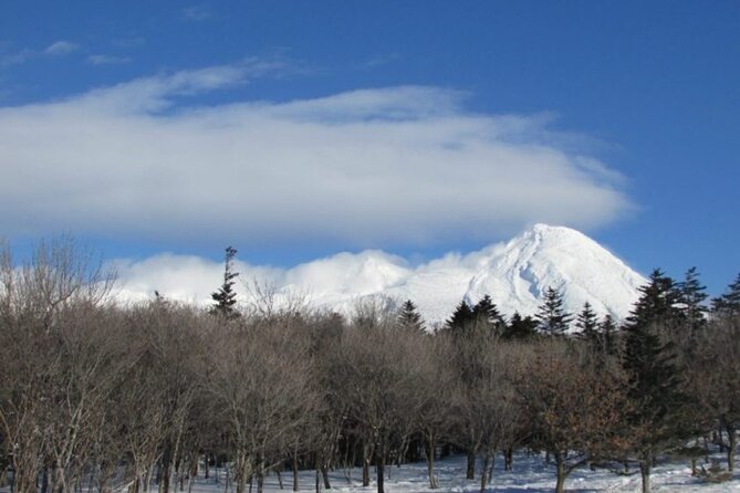 3 Hours Shiretoko Five Lakes Snowshoe Tour - Key Takeaways