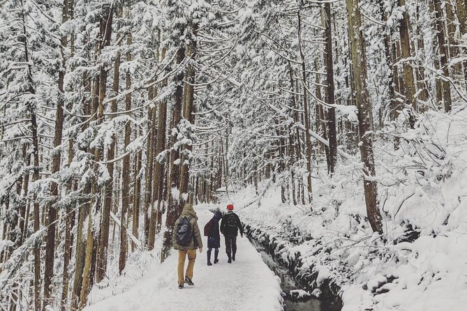 1-Day Snow Monkeys, Zenko-ji Temple & Sake in Nagano - Tour Experience