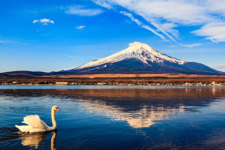 1-Day Trip: Mt Fuji + Kawaguchi Lake Area - Trip Highlights and Itinerary