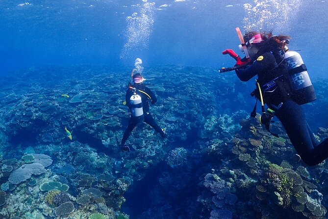 2-Day Private Deluxe Certification Course for Scuba Diving - Itinerary Details