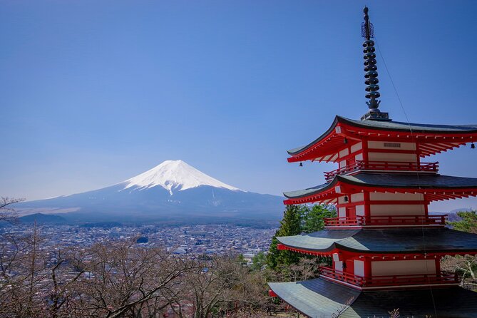 2-Day Tour-The Best of Japan - Culinary Delights