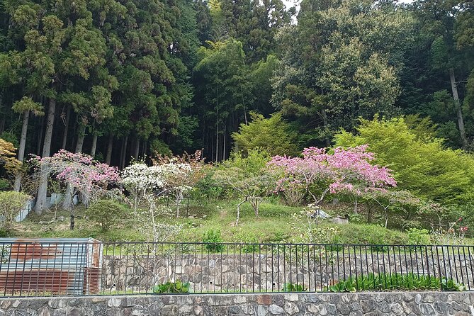 3-Hour Private Tour in Osaka Rapids Hike and Natural Hot Spring - Tour Guidelines