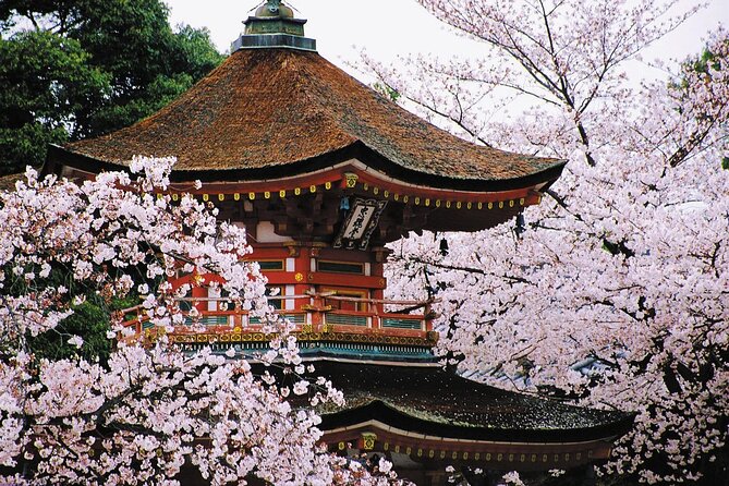 7-Day Guided Tour in Tokyo, Mount Fuji, Kyoto, Nara and Osaka - Sightseeing Inclusions