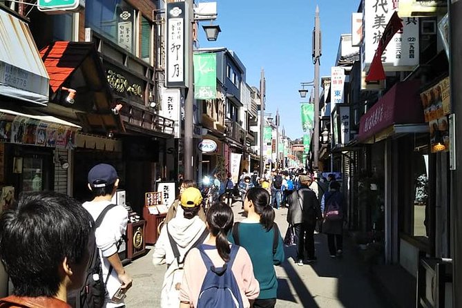 8-Hour Kamakura Tour by Qualified Guide Using Public Transportation - Qualified Tour Guide Details