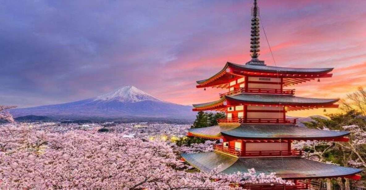 Alpha Japan With Mt.Fuji by Hiace Upto 9 Persons - Itinerary and Highlights