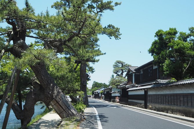 An E-Bike Cycling Tour of Matsue That Will Add to Your Enjoyment of the City - Insider Tips