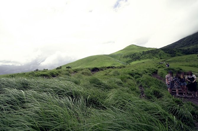 Beppu & Yufuin Onsen One Day Private Tour - Cancellation Policy