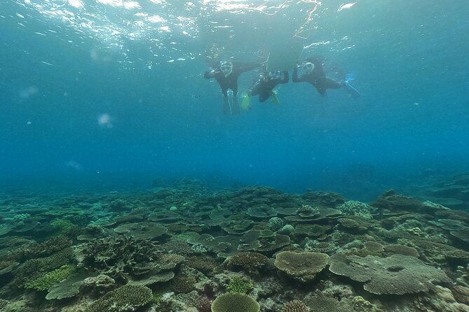 Boat Snorkeling Trip 2 Rounds at Minna Isl or Sesoko , Okinawa - Additional Details