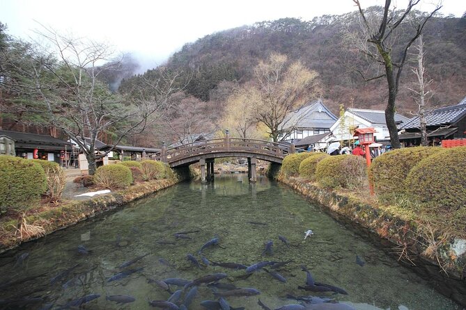 Chartered Private Tour - Tokyo to Nikko, Toshogu, Edo Wonderland - Host Interactions and Feedback