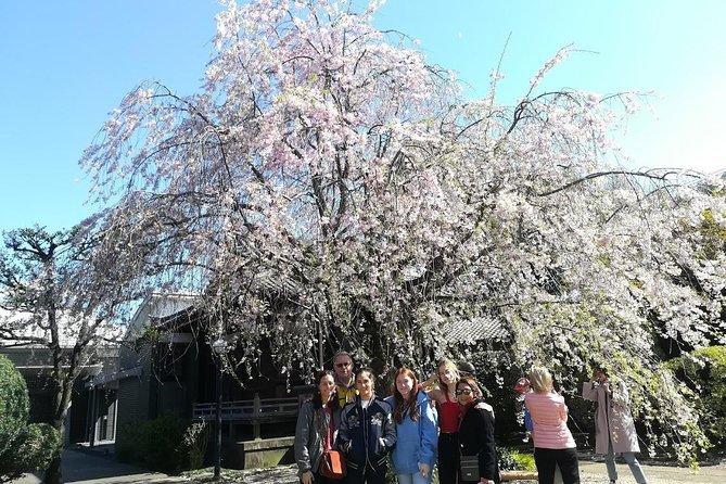 Cherry Blossom Highlights, Asakusa, Ueno, Yanaka - Pickup Points and Logistics