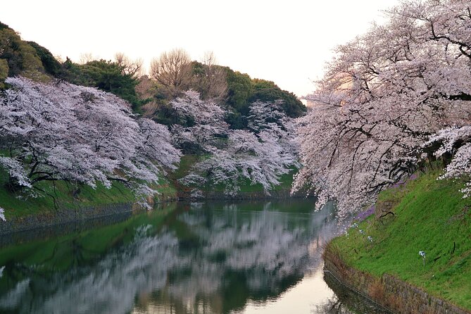 Cherry Blossom Private Tour - Inclusions and Exclusions