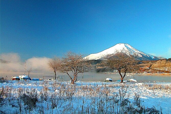 Classic Mount Fuji One-Day Tour With Daily Chauffeur - Logistics & Operations