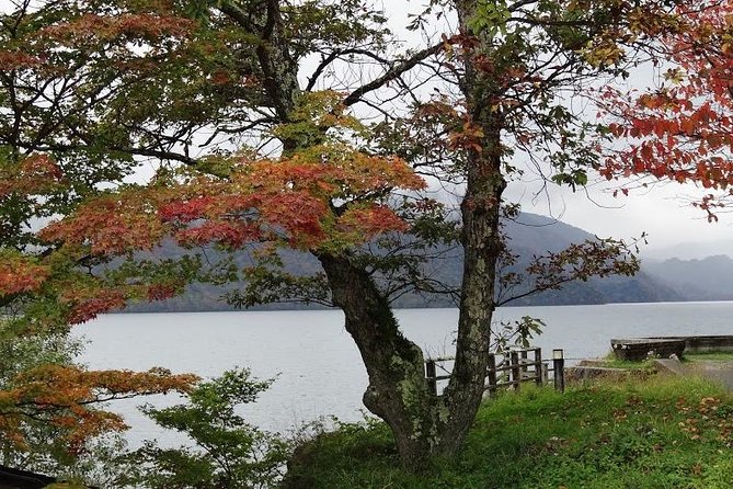 Daytrip to Nikko From Tokyo With Local Japanese Photograher Guide - Local Cuisine Tasting