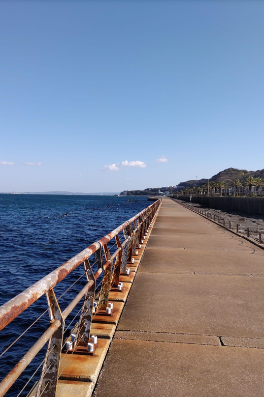 Discover Priceless Yokosuka in Special One-Day Walking Tour - Meeting Point Details