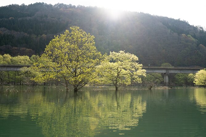 Dive Naturally! Melting Kinshu Lake Submerged Forest Canoe Tour - Reviews