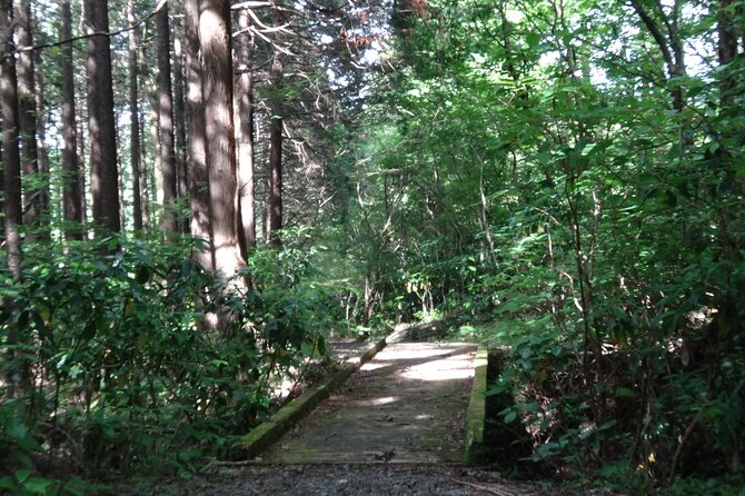 Easygoing Nature Walk in Hakone Tour - Flexible Itinerary