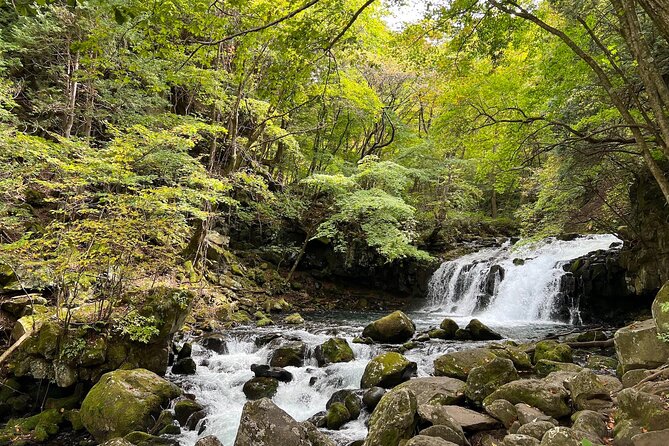 Ebike Tour in Lake Shirakaba and Tateshina Highland Japan - Participant Requirements