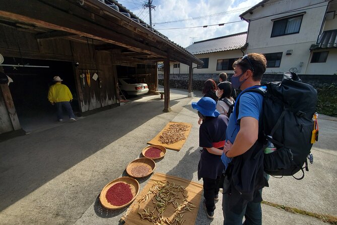 Enjoy a Walk, Lunch, and Tea Time at the 2000 Years Old Teno Farm Village. - Included Experiences and Activities