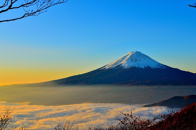 Explore Mt. Fuji, Hakone and Lake Ashi in a Day by Private Car - Cancellation Policy