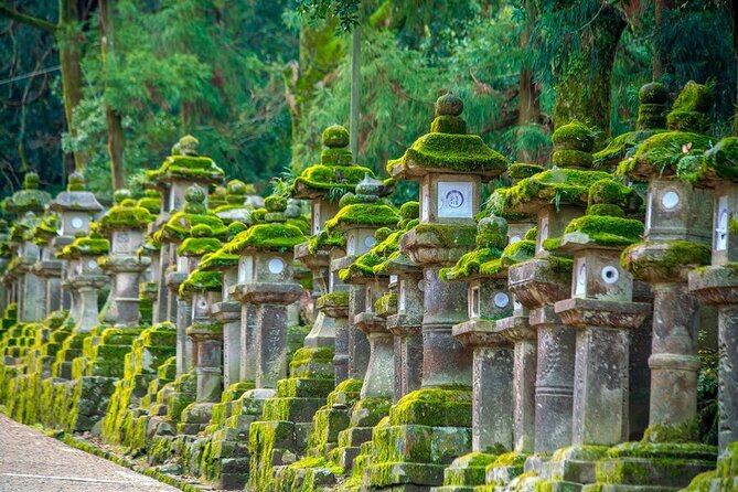 Explore the Best Spots of Arashiyama / Nara in a One Day Private Tour From Kyoto - Reviews