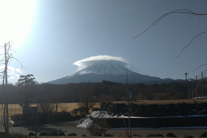 Exploring Mt Fuji Ice Cave and Sea of Trees Forest - Tour Highlights and Experience