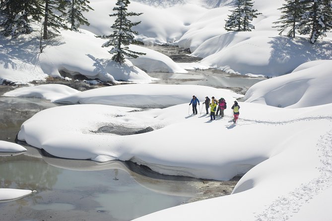 Fluffy New Snow and the Earth Beating, Goshougake Oyunuma Snowshoeing Tour - Physical Requirements