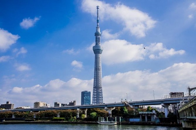 Freely Set up Plans Guided Private Tours in Tokyo - Visitor Highlights and Recommendations