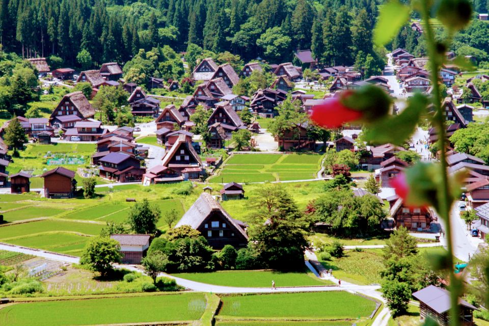 From Kanazawa: Visit Shirakawago, Hida-Furukawa, and Takayama - Essential Information