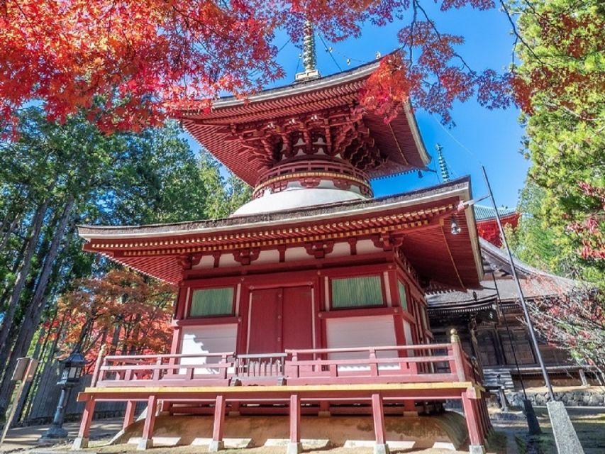 From Osaka: Mt. Koya Private Walking and Train Tour - Booking Information