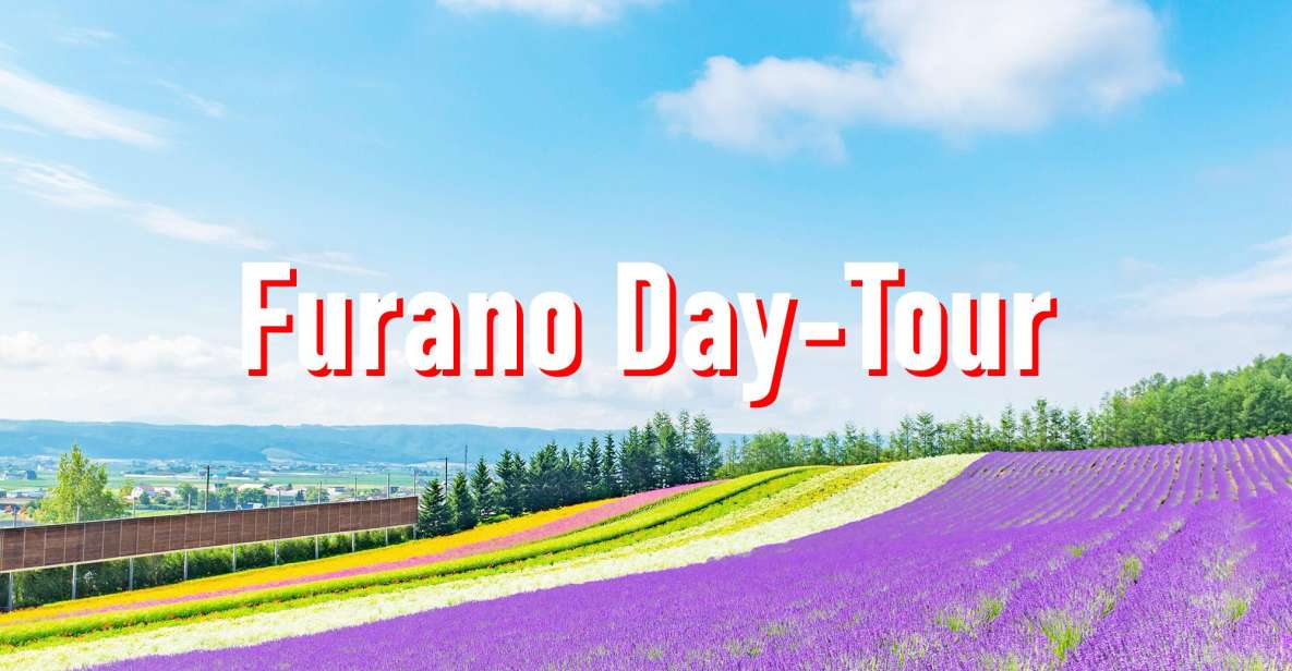 From Sapporo: 10-hour Customized Private Tour to Furano - Tour Description