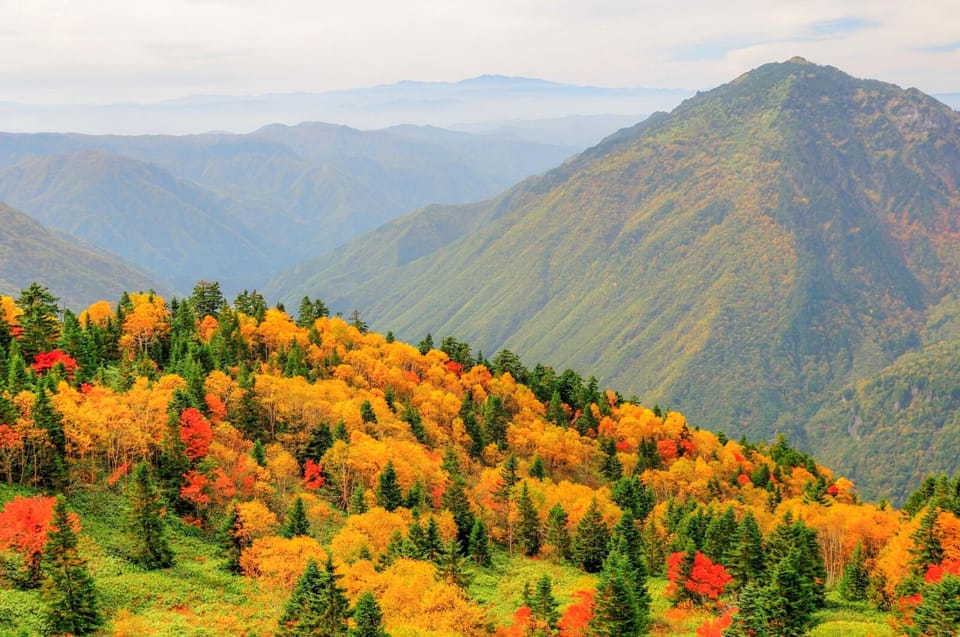 From Takayama: Shinhotaka Ropeway and Kamikochi Tour - Inclusions in the Tour Package