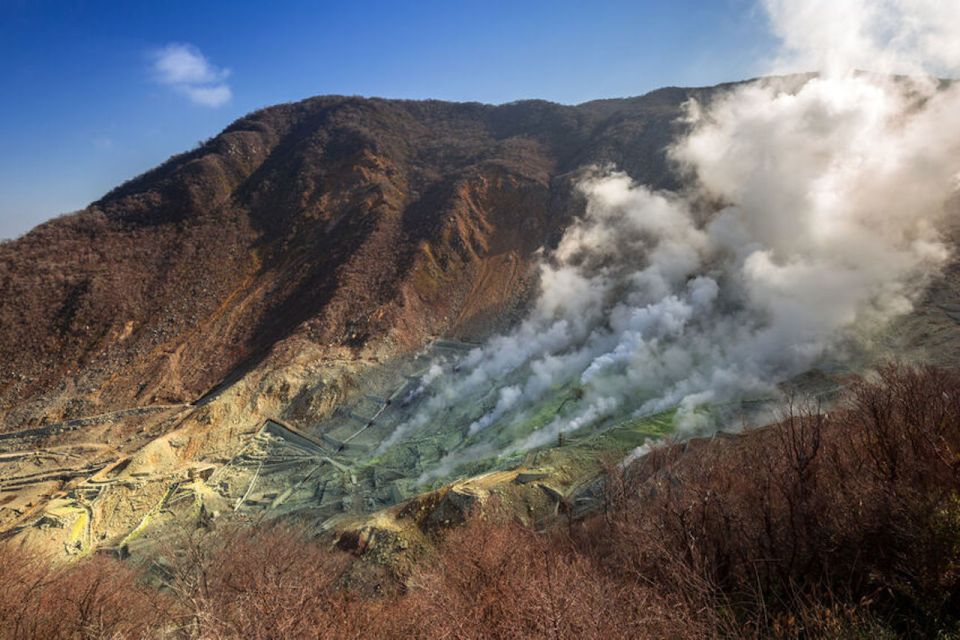 From Tokyo: Hakone and Owakudani Private Day Trip - Experience Description