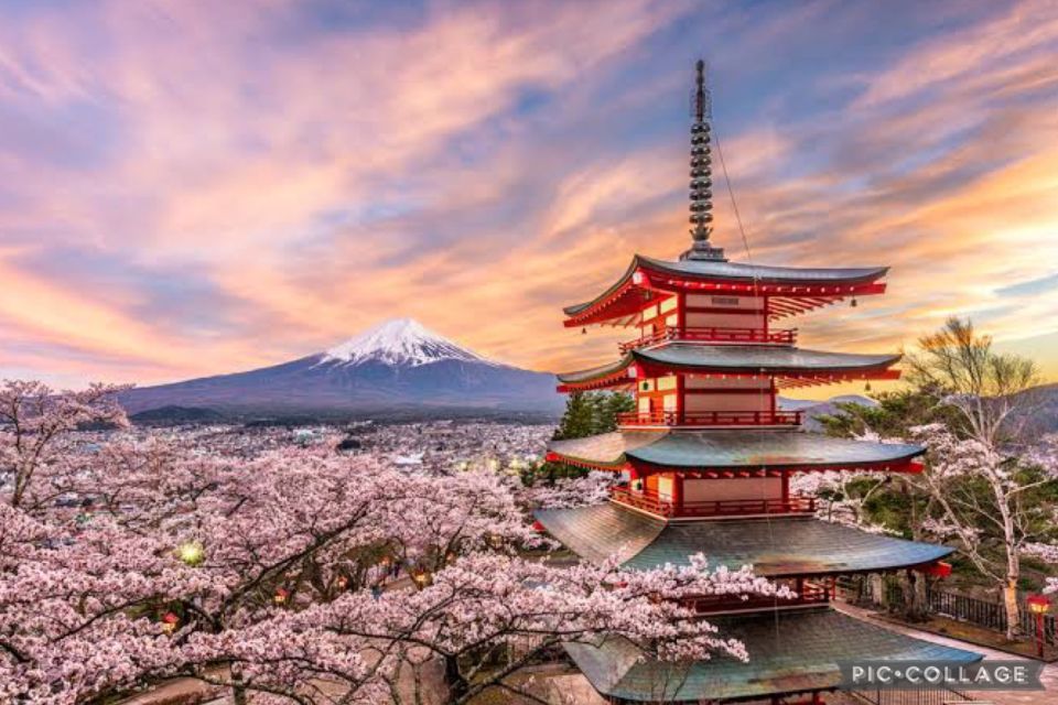 From Tokyo/Hakone/Fuji: Hakone & Mt. Fuji Day Trip W/Pickup - Convenient Pickup Details