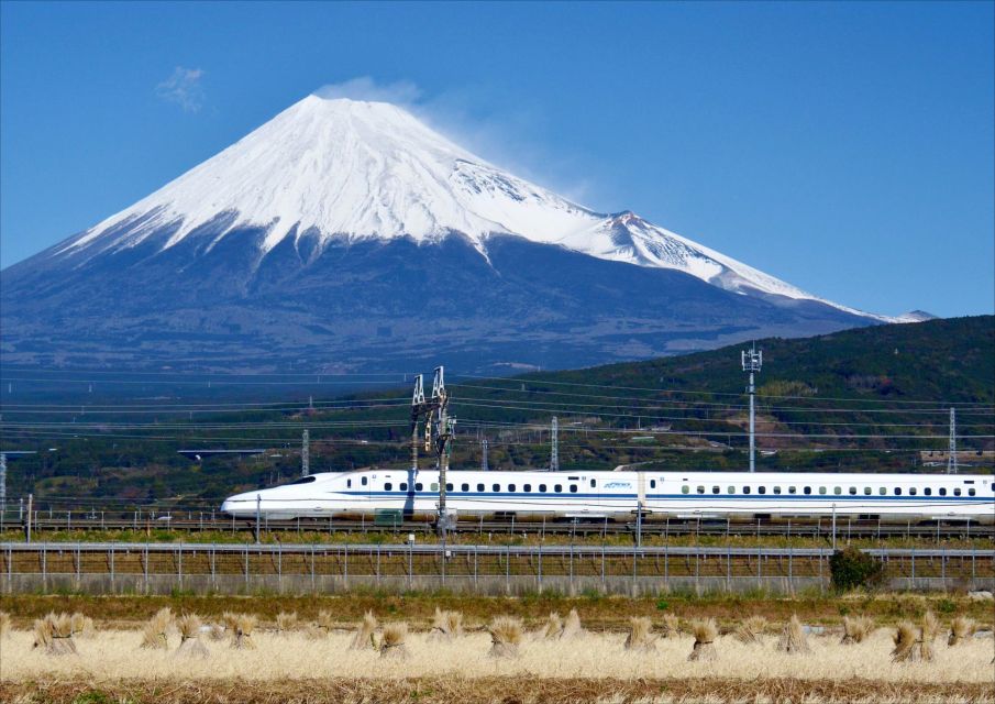 From Tokyo: Mt. Fuji & Hakone Tour W/ Return by Bullet Train - Booking Information