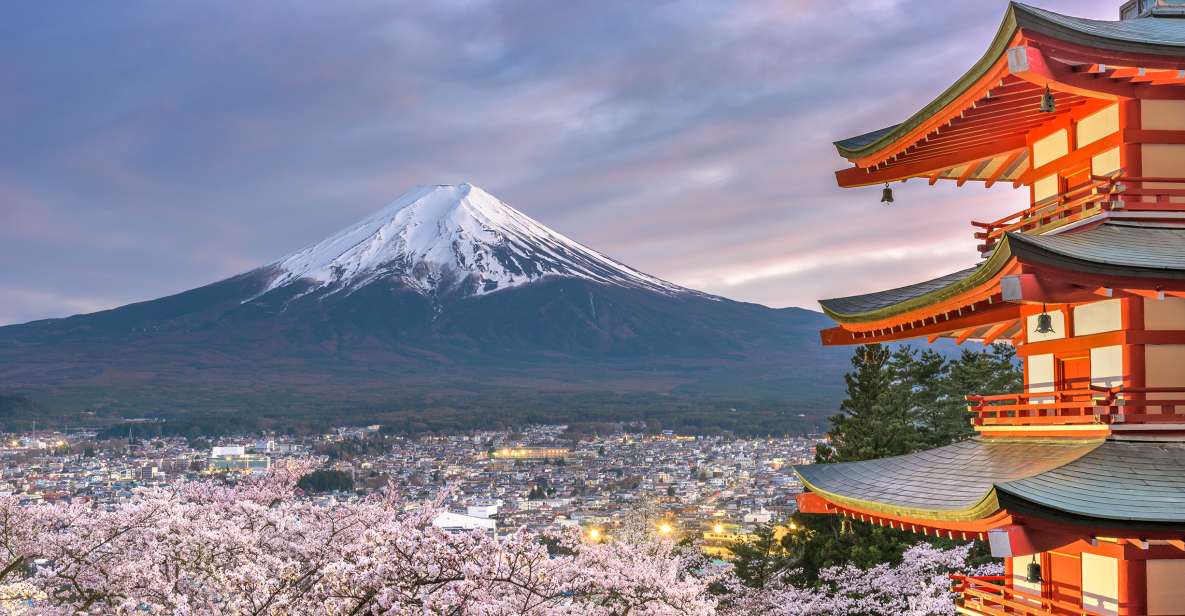 From Tokyo: Private Sightseeing Tour to Mount Fuji & Hakone - Highlights